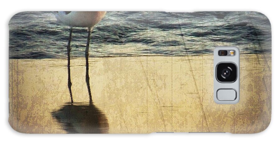 American Avocet Galaxy S8 Case featuring the photograph American Avocet by Anne Thurston