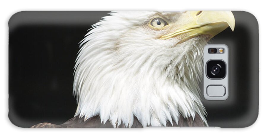 Eagle Galaxy S8 Case featuring the photograph American Bald Eagle Profile by Richard Bryce and Family