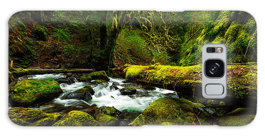 Northwest Galaxy Case featuring the photograph American Jungle by Chad Dutson