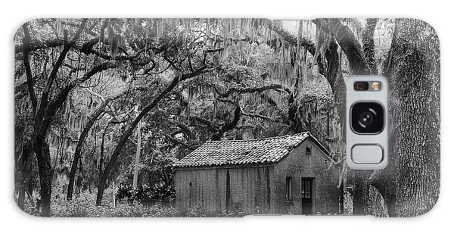 Live Galaxy Case featuring the photograph Amongst The Live Oaks by Andre Turner