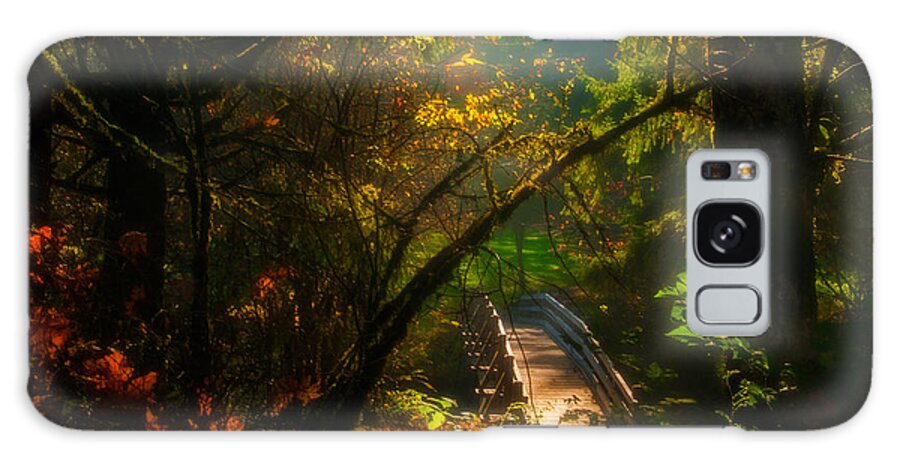 Fall Galaxy Case featuring the photograph An Autumn Day at Silver Falls State Park by Larry Goss