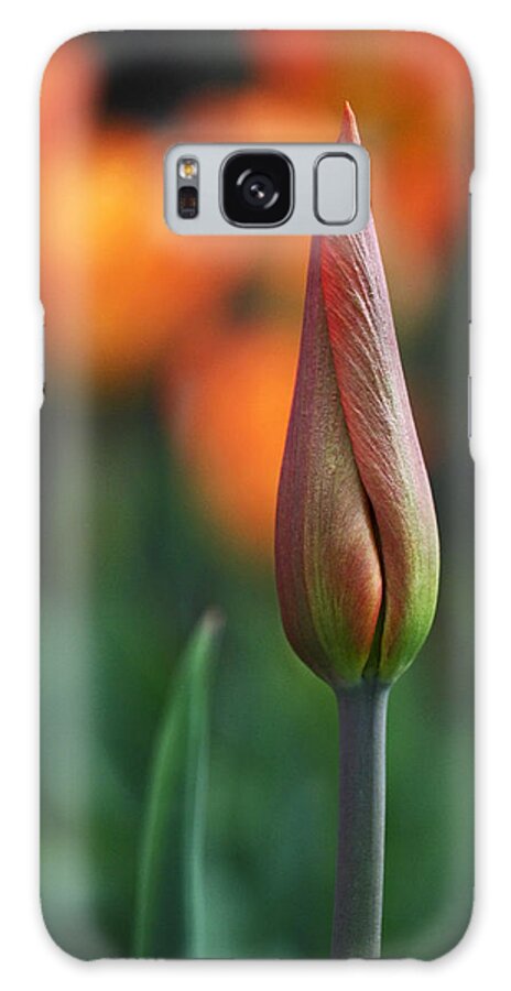 Tulip Galaxy Case featuring the photograph An Elegant Beginning by Rona Black