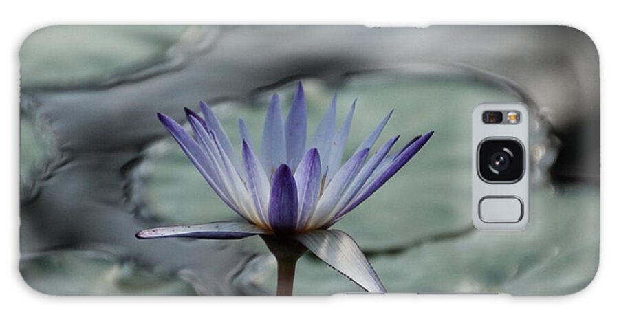 Water-lily Galaxy Case featuring the photograph ...and cue Lily by Lynn England