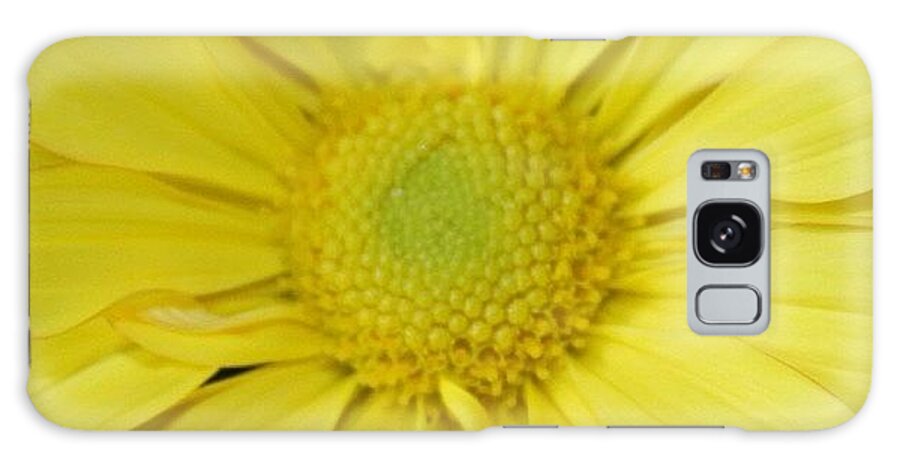 Daisy Galaxy Case featuring the photograph And It's Called Yellow by Justin Connor
