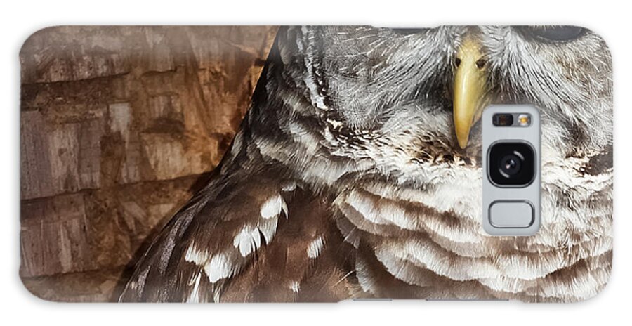 Owl Galaxy Case featuring the photograph Angel Eyes by Geri Glavis