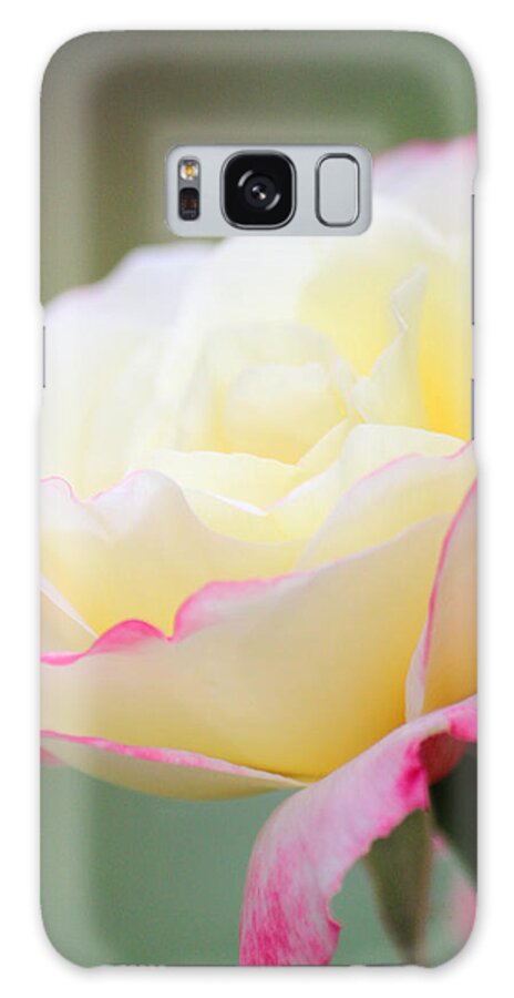 Rose Art Galaxy Case featuring the photograph Angel of Roses by The Art Of Marilyn Ridoutt-Greene