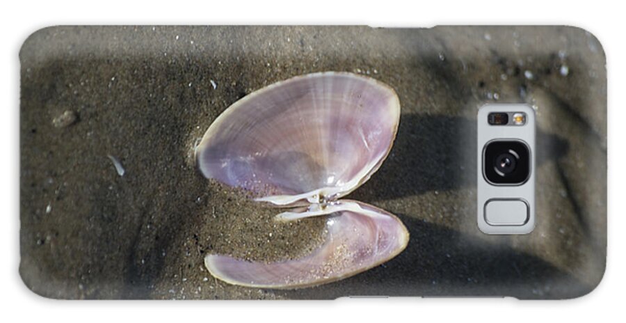 Sea Shell Galaxy S8 Case featuring the photograph Angel Wings by Spikey Mouse Photography