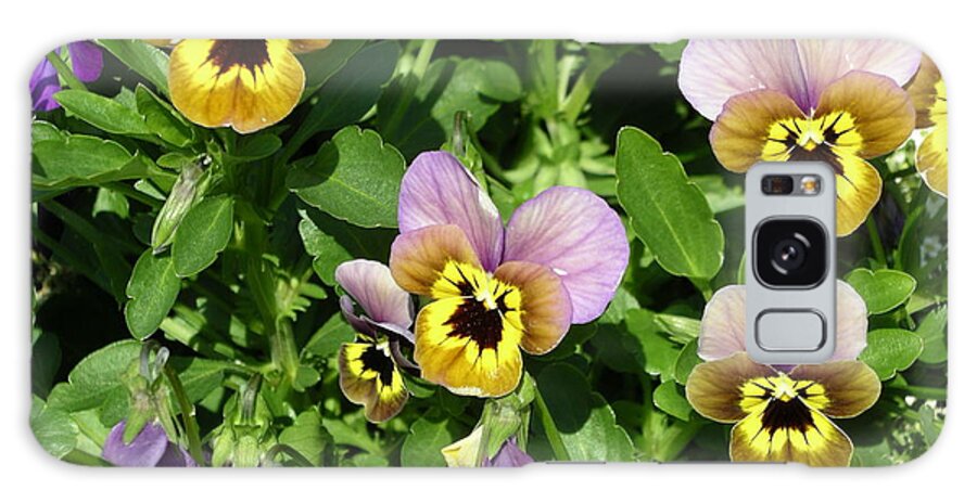 Humorous Flowers Galaxy Case featuring the photograph Angry Petals by Mark Messenger