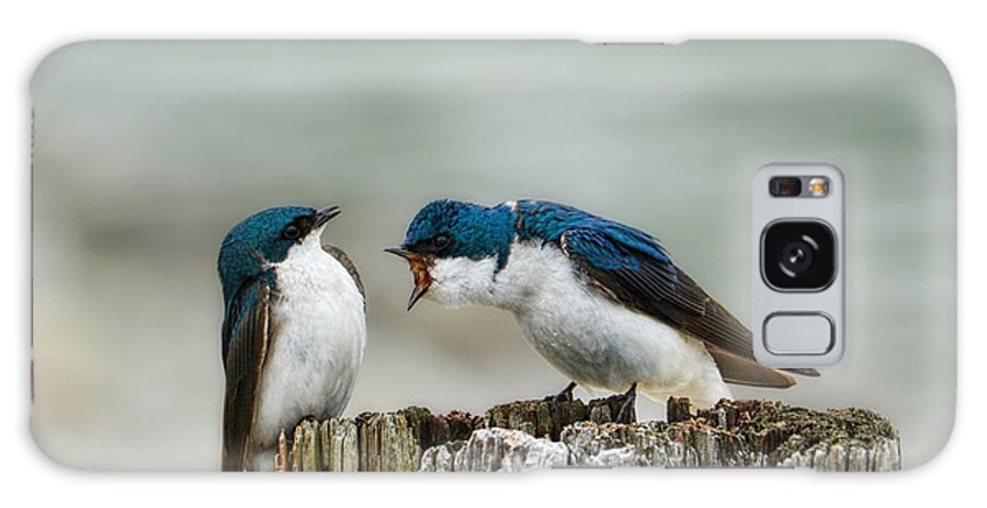 Angry Galaxy Case featuring the photograph Angry Swallow by Jai Johnson