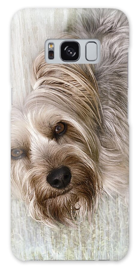 Dog Galaxy Case featuring the digital art animals - dogs - Rascal by Ann Powell