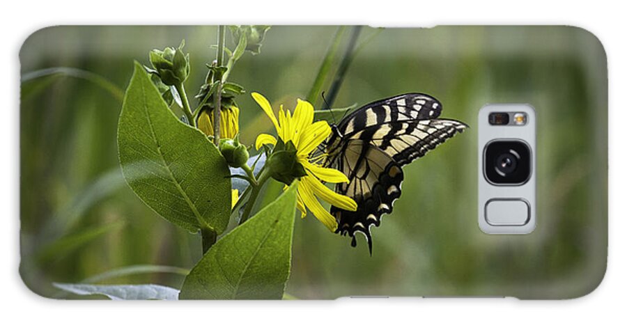 Butterflies Galaxy Case featuring the photograph Anise Swallowtail 001 by Donald Brown