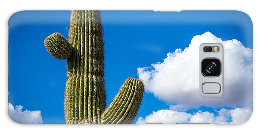 Cactus Galaxy Case featuring the photograph Another Lazy Saguaro Sunday by Will Wagner