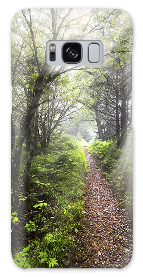 American Galaxy Case featuring the photograph Appalachian Trail by Debra and Dave Vanderlaan