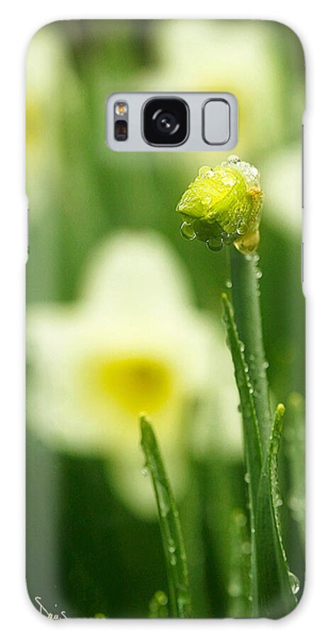 Spring Galaxy S8 Case featuring the photograph April Showers by Joan Davis
