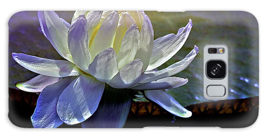 Long Wood Victoria Water Lily Galaxy S8 Case featuring the photograph Aquatic Beauty in White by Julie Palencia