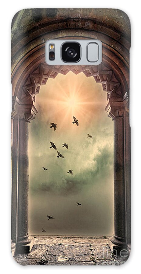 Gothic Galaxy Case featuring the photograph Arch and Birds by Jill Battaglia
