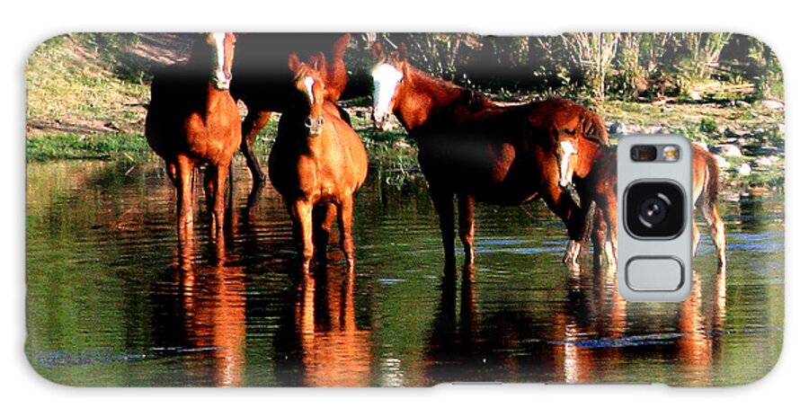 Wild Horses Galaxy Case featuring the photograph Arizona Wild Horses by Matalyn Gardner