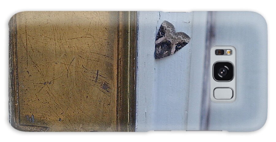 Insects Galaxy Case featuring the photograph Arrowhead Doorbell Moth by Christopher Plummer