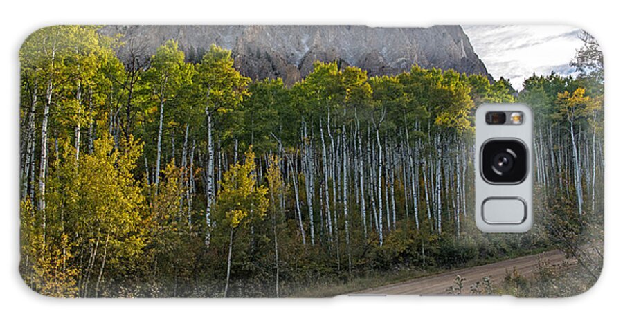 Mountain Galaxy Case featuring the photograph Aspen Forest Along A Colorado Unpaved Road by Willie Harper