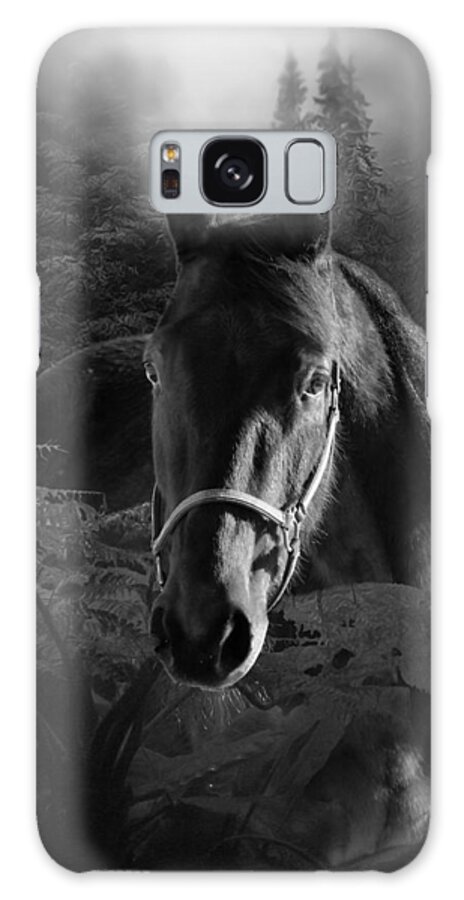 Animal Galaxy Case featuring the photograph At Peace With Myself by Davandra Cribbie