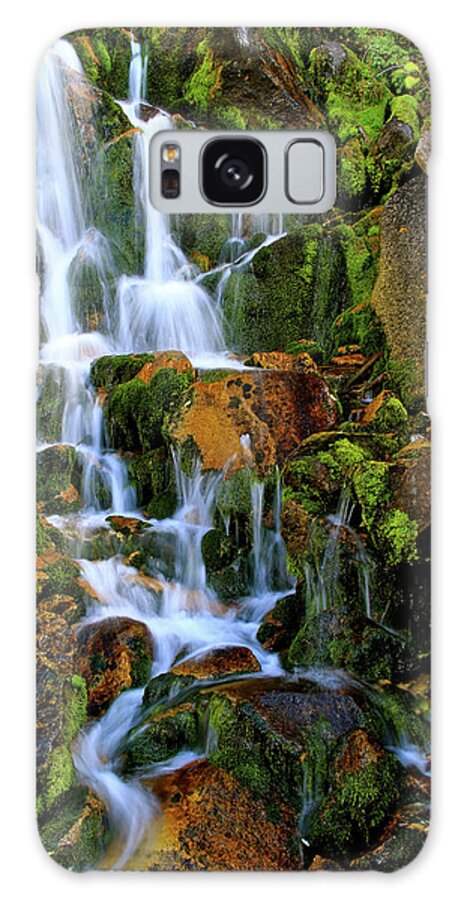 Salmon River Mountains Galaxy Case featuring the photograph Autumn Along Summit Creek by Ed Riche