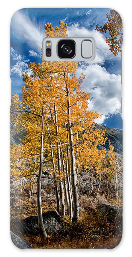 Mountains Galaxy Case featuring the photograph Autumn and Blue Skies by Cat Connor