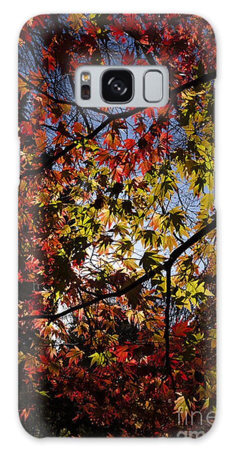 Fall Galaxy Case featuring the photograph Autumn by Andy Myatt