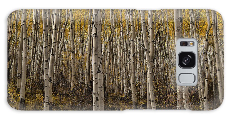 Trees Galaxy Case featuring the photograph Autumn Aspen by Erika Fawcett