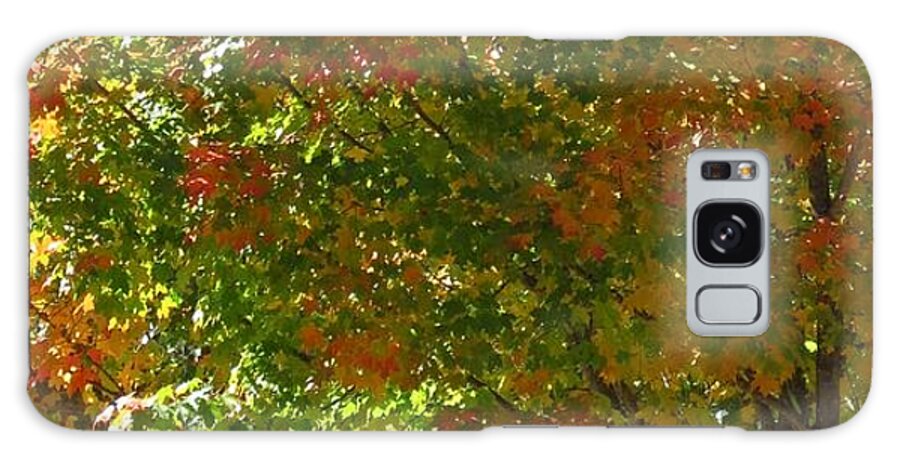 Tree Galaxy Case featuring the photograph AUTUMN Banner by Anita Adams