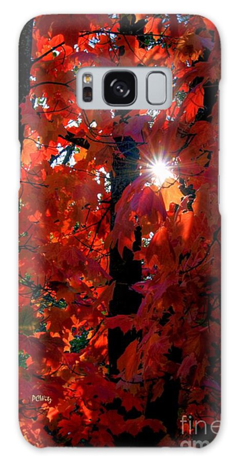 Autumn Brilliance Galaxy Case featuring the photograph Autumn Brilliance by Patrick Witz