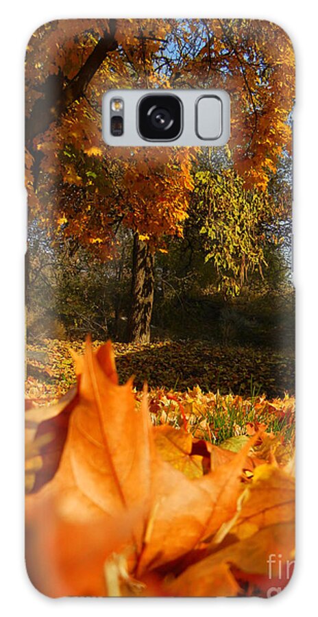  Galaxy Case featuring the photograph Autumn Carpet by KD Johnson