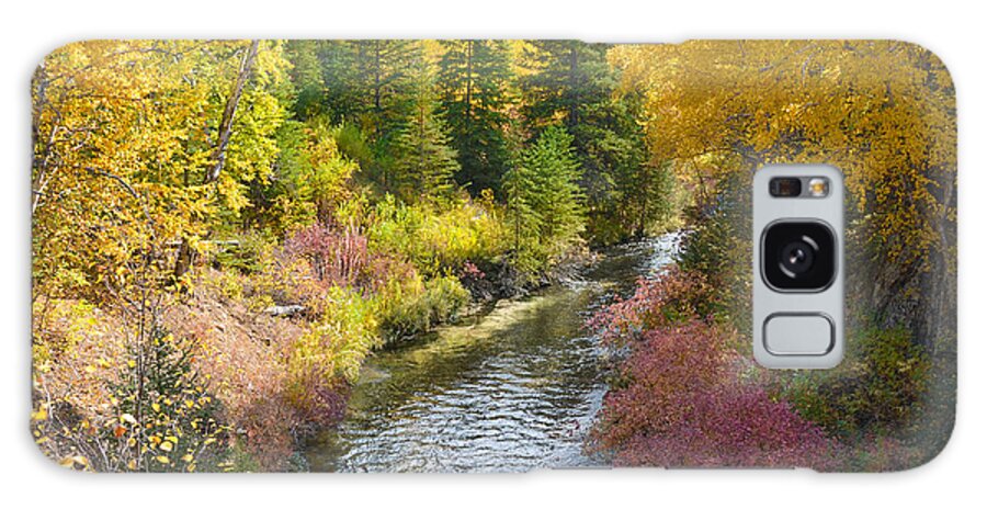 Dakota Galaxy Case featuring the photograph Autumn Color Along Spearfish Creek by Greni Graph
