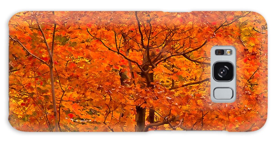 Autumn Galaxy S8 Case featuring the photograph Autumn Color Splash by Nancy De Flon