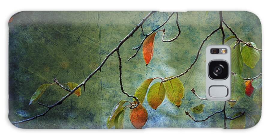 Autumn Galaxy Case featuring the photograph Autumn Colours by Eena Bo