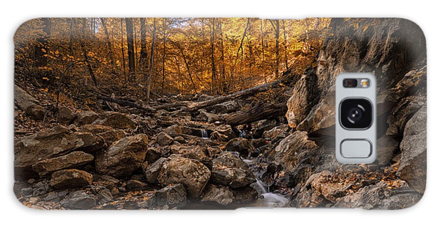 Patapsco State Park Galaxy Case featuring the photograph Autumn falls by Edward Kreis
