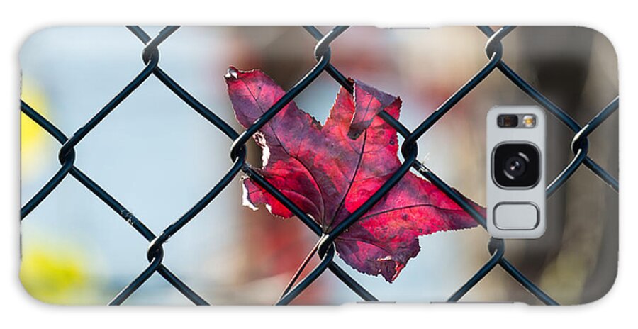 Autumn Galaxy Case featuring the photograph Autumn Fence by Patrick Wolf