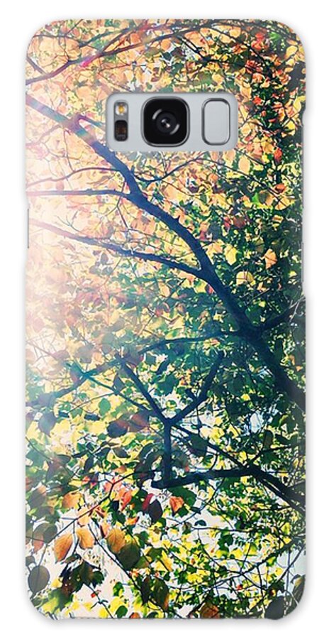 Autumn Galaxy Case featuring the photograph Autumn Flame by Kim Fearheiley