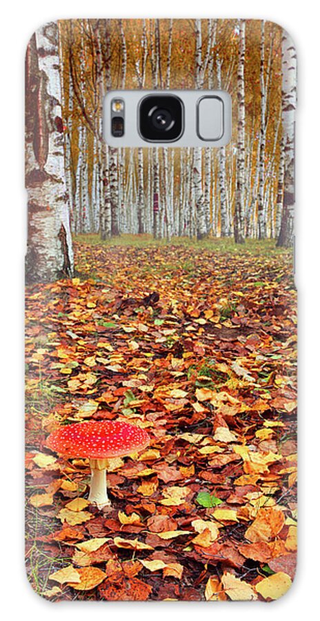 Tranquility Galaxy Case featuring the photograph Autumn Forest by Yury Prokopenko