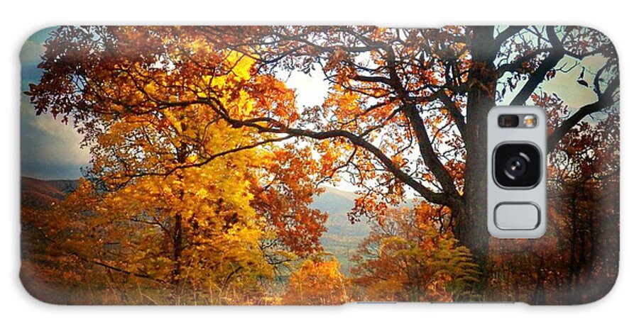 Shenandoah National Park Galaxy Case featuring the photograph Autumn Glory by Joyce Kimble Smith