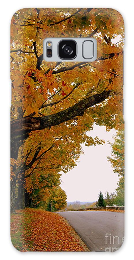Golden Yellow Leaves Galaxy Case featuring the photograph Autumn Gold by Eunice Miller
