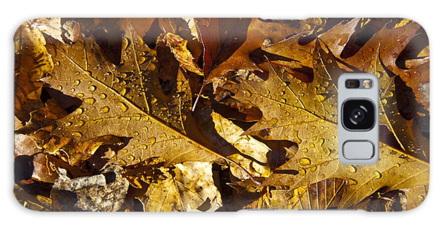 Leaf Galaxy Case featuring the photograph Autumn Groundcover by Owen Weber