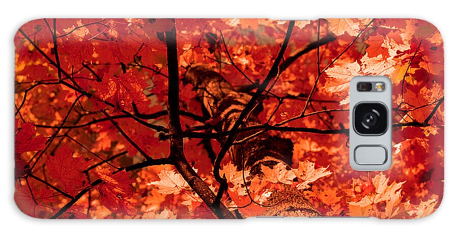 Autumn Galaxy Case featuring the photograph Autumn by Illusorium Illustration