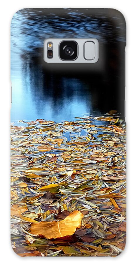 Waters Galaxy Case featuring the photograph Autumn Lake by Steven Milner