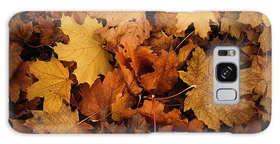 Autumn Galaxy Case featuring the photograph Autumn Leaves by Daniel Martin