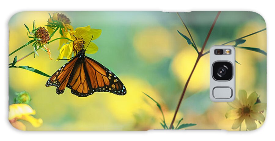 Monarch Galaxy Case featuring the photograph Autumn Monarch by Joel Olives