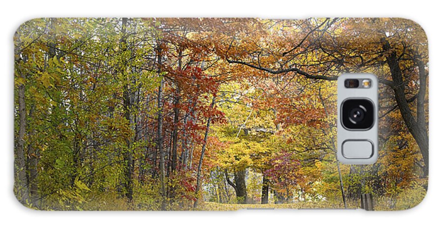 Autumn Galaxy S8 Case featuring the photograph Autumn Nature Trail by Lynn Hansen