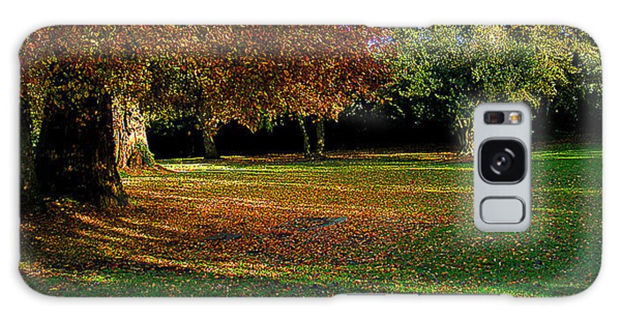 Autumn Galaxy Case featuring the photograph Autumn by Nina Ficur Feenan