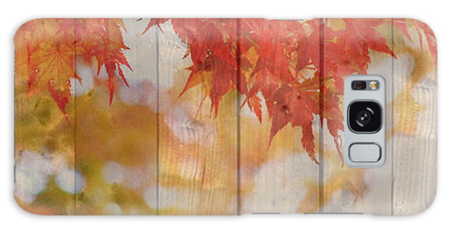 Autumn Galaxy Case featuring the photograph Autumn Outdoors 2 of 2 by Beverly Claire Kaiya