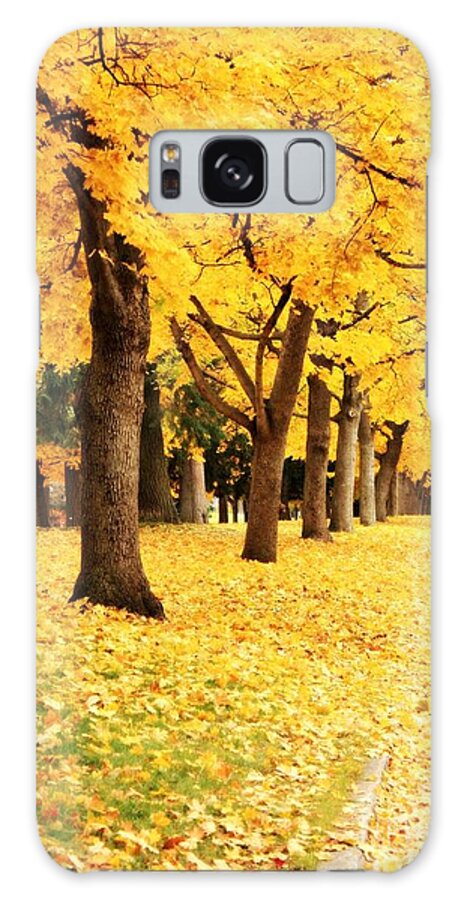 Carol Groenen Galaxy S8 Case featuring the photograph Autumn Perspective by Carol Groenen