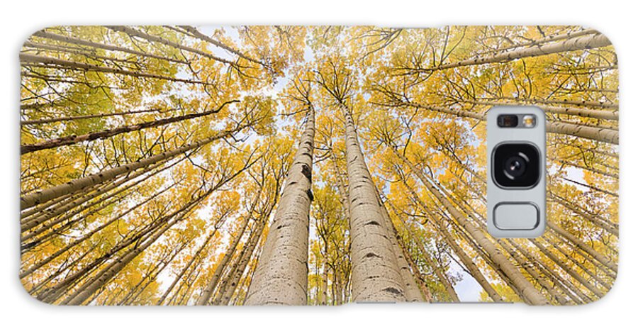 00559141 Galaxy Case featuring the photograph Autumn Quaking Aspen Rocky Mts Colorado by Yva Momatiuk and John Eastcott